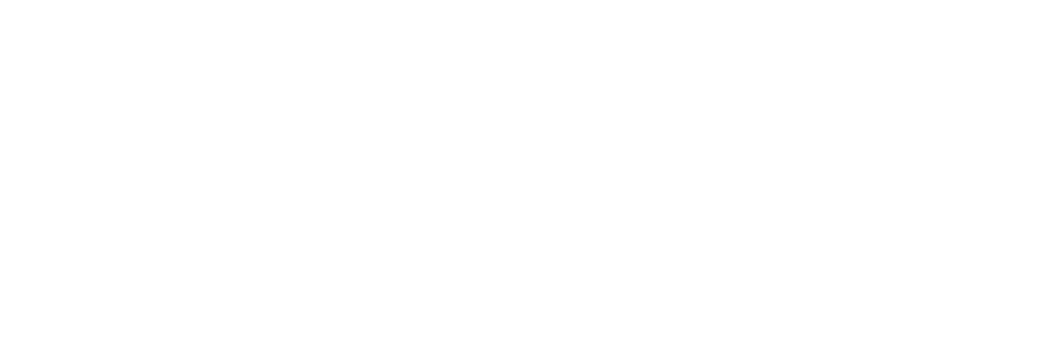 Suozt